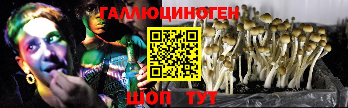 Псилоцибиновые грибы Psilocybe  цены   Видное  Вход с VPN 